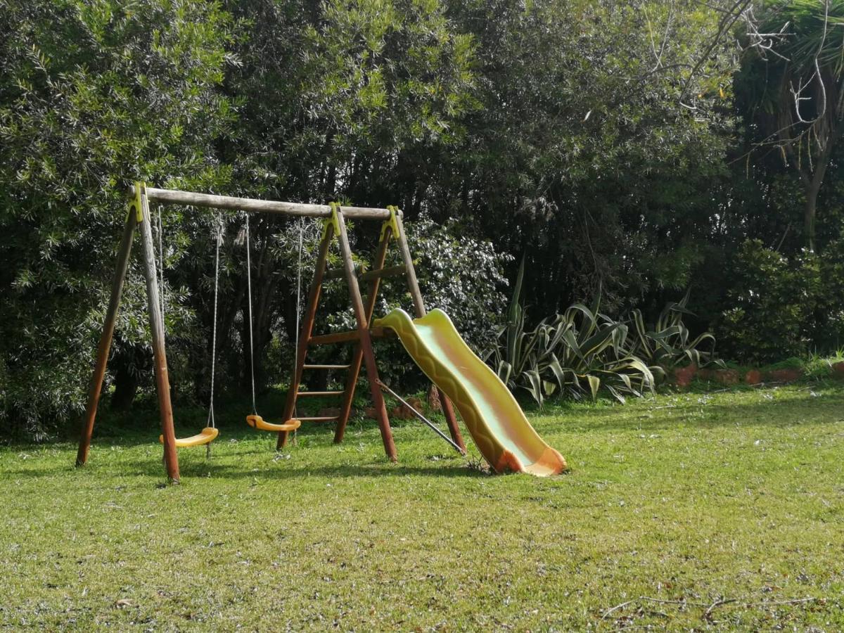 Amor De Crianca Sao Teotonio Luaran gambar